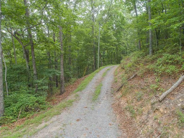0 Deer Lane, Ellijay, GA 30540