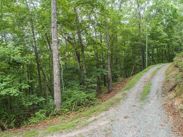 0 Deer Lane, Ellijay, GA 30540