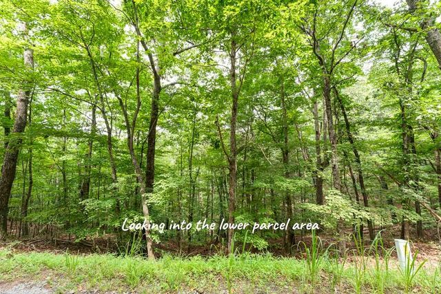 0 Deer Lane, Ellijay, GA 30540