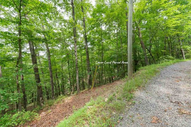 0 Deer Lane, Ellijay, GA 30540