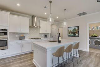 461 Rainbow Shad Way, Lexington, SC 29072