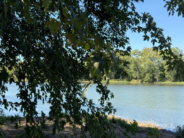 21244 W Highway Rt 113 Highway, Custer Park, IL 60481