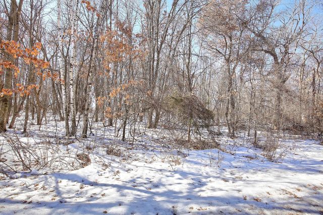 19062 Heather St NW, Oak Grove, MN 55011