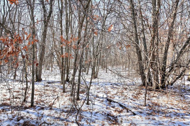 19062 Heather St NW, Oak Grove, MN 55011