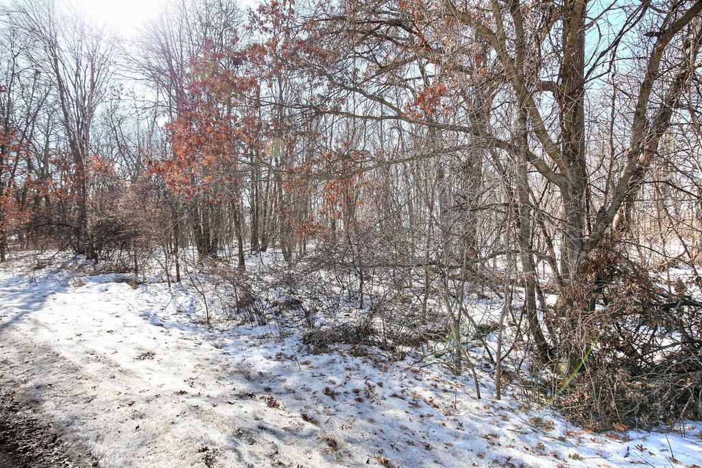 19062 Heather St NW, Oak Grove, MN 55011 — photo 4