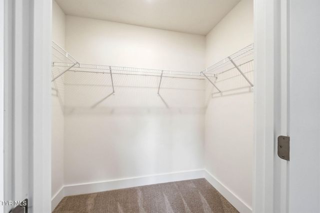 208 Artist Avenue, Johnson City, TN 37615