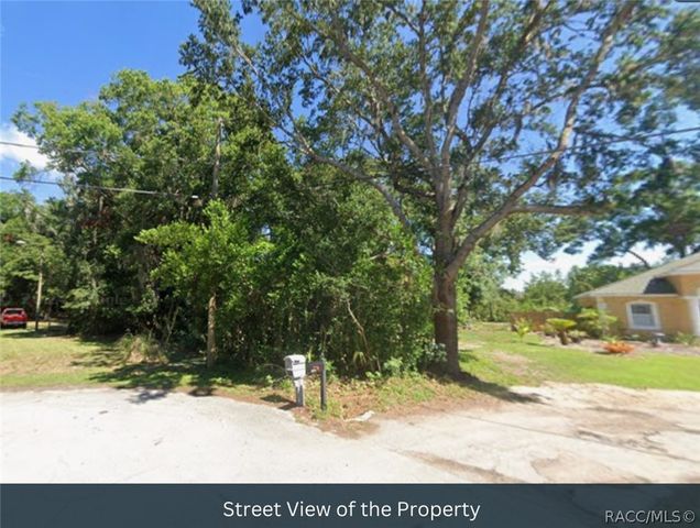 TBD BLOUNT ROAD, Lutz, FL 33558