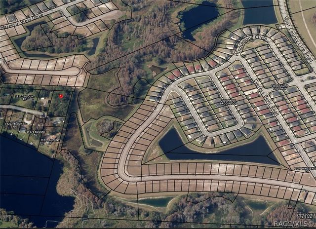 TBD BLOUNT ROAD, Lutz, FL 33558