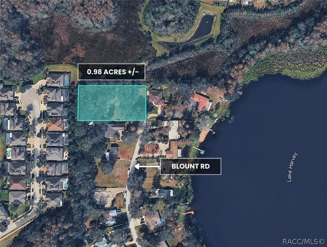 TBD BLOUNT ROAD, Lutz, FL 33558