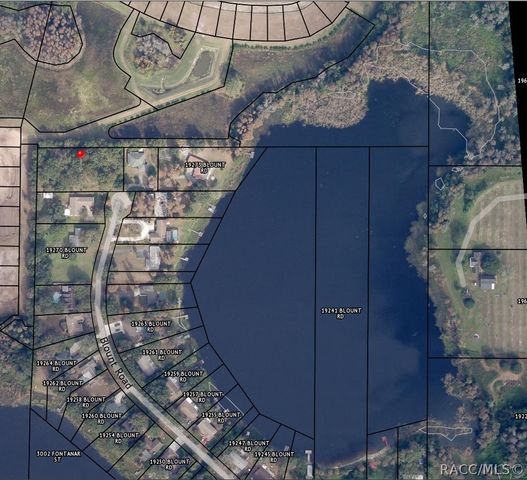 TBD BLOUNT ROAD, Lutz, FL 33558