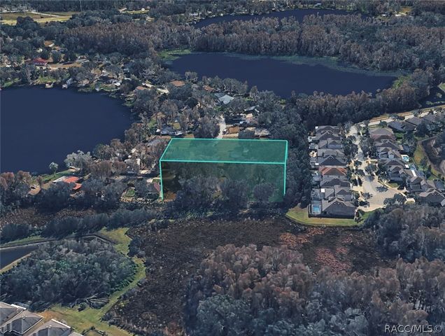 TBD BLOUNT ROAD, Lutz, FL 33558