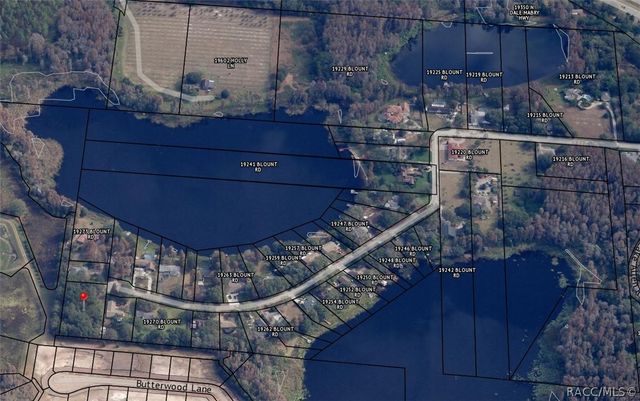 TBD BLOUNT ROAD, Lutz, FL 33558