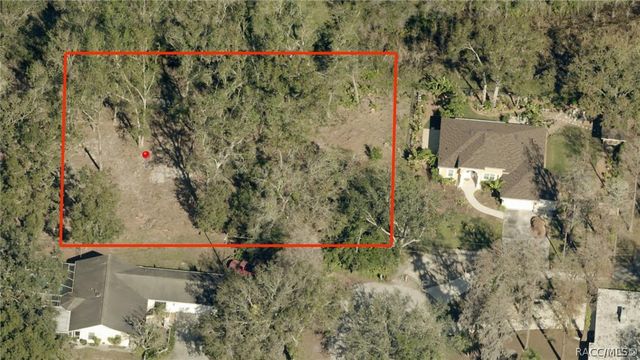 TBD BLOUNT ROAD, Lutz, FL 33558