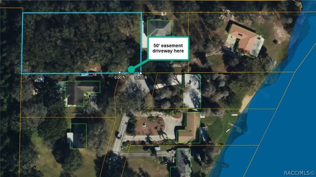 TBD BLOUNT ROAD, Lutz, FL 33558