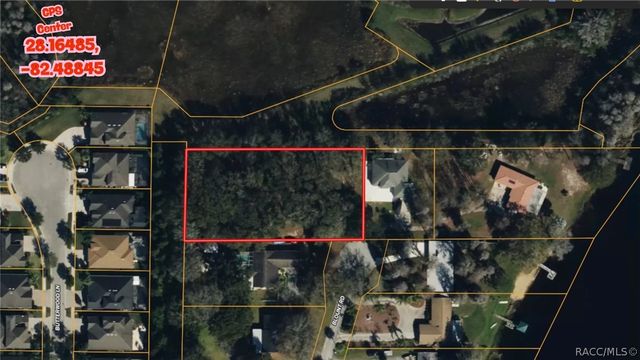 TBD BLOUNT ROAD, Lutz, FL 33558