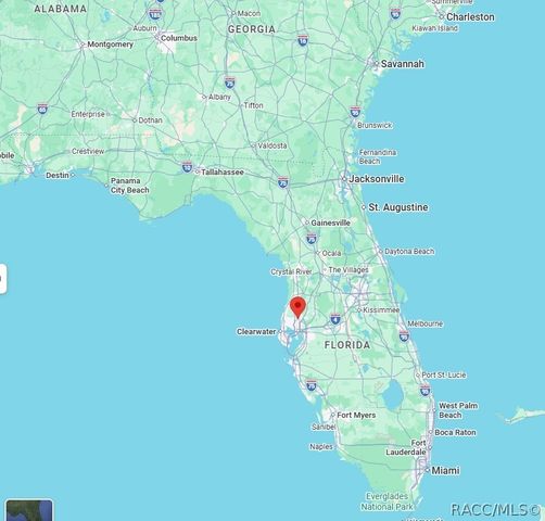 TBD BLOUNT ROAD, Lutz, FL 33558