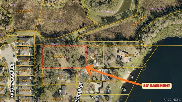 TBD BLOUNT ROAD, Lutz, FL 33558