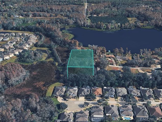 TBD BLOUNT ROAD, Lutz, FL 33558