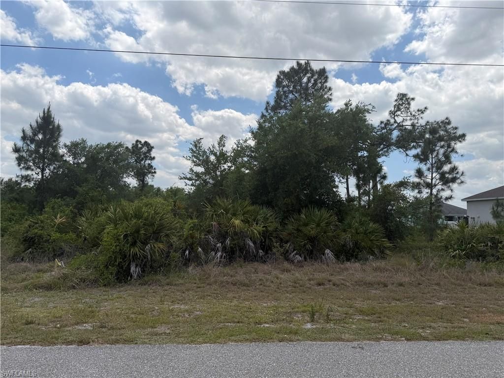 1247 Galileo ST E, LEHIGH ACRES, FL 33974 — photo 2