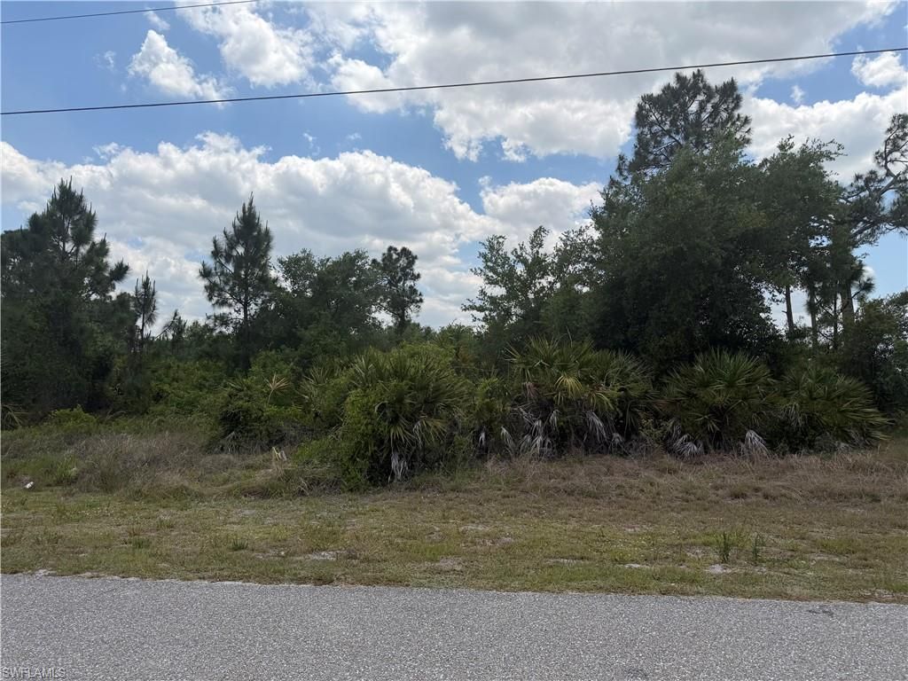 1247 Galileo ST E, LEHIGH ACRES, FL 33974 — photo 3