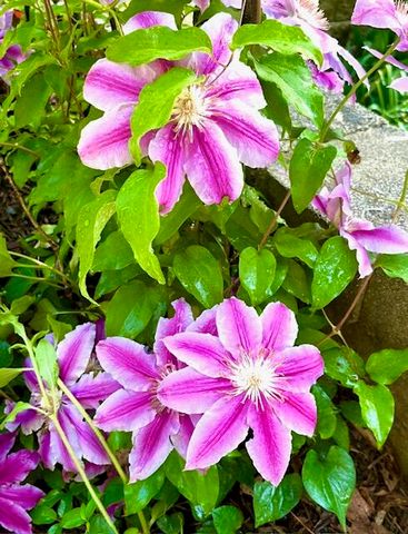 202 Oakridge Court, Valparaiso, IN 46385