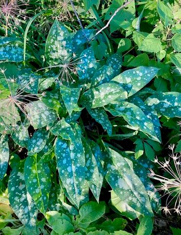 202 Oakridge Court, Valparaiso, IN 46385