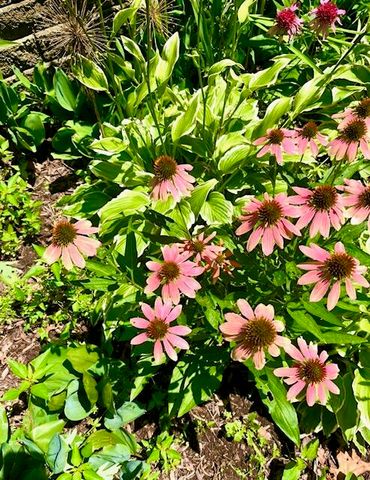 202 Oakridge Court, Valparaiso, IN 46385