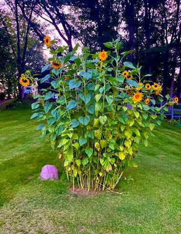 202 Oakridge Court, Valparaiso, IN 46385