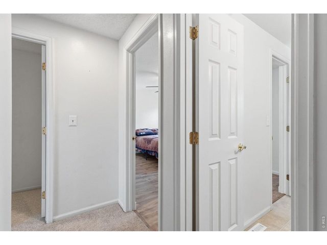 1040 White Elm Dr, Loveland, CO 80538