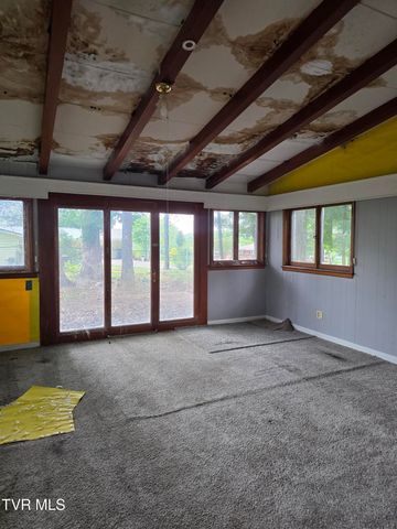 207 Rankin Drive, Greeneville, TN 37745