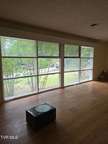 207 Rankin Drive, Greeneville, TN 37745