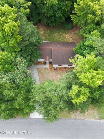 106 Shearin Hills Drive, Castle Hayne, NC 28429