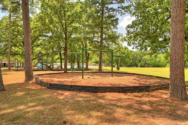 9596 Darkwood Street, Willis, TX 77318