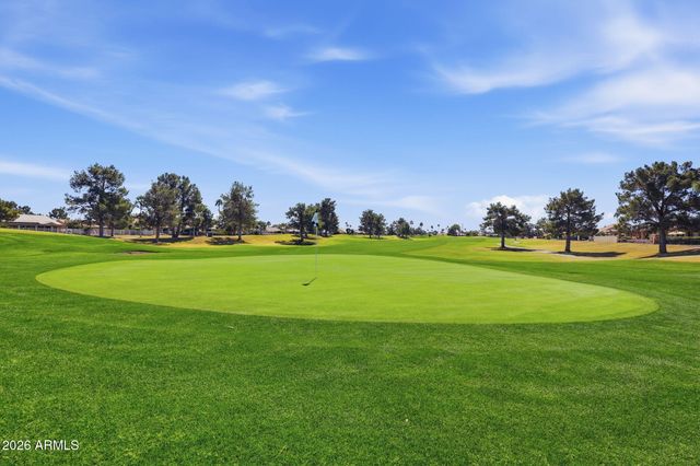 24619 S Ribbonwood Drive, Sun Lakes, AZ 85248