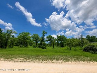 0 Fulmar Road, Weeki Wachee, FL 34614