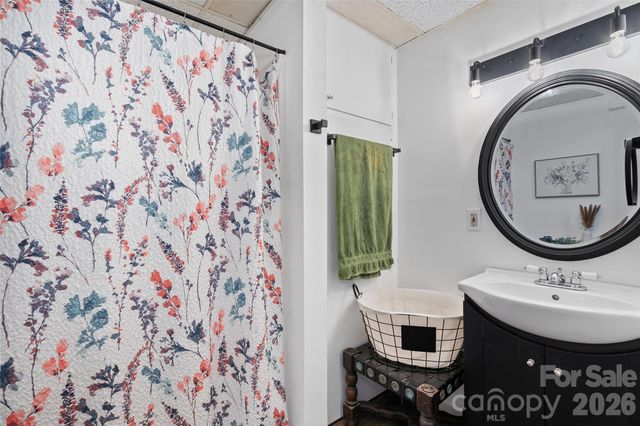 84 Chisholm Street, Saluda, NC 28773