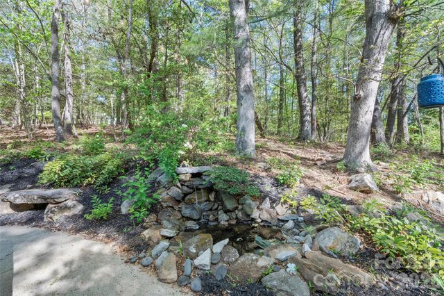 84 Chisholm Street, Saluda, NC 28773