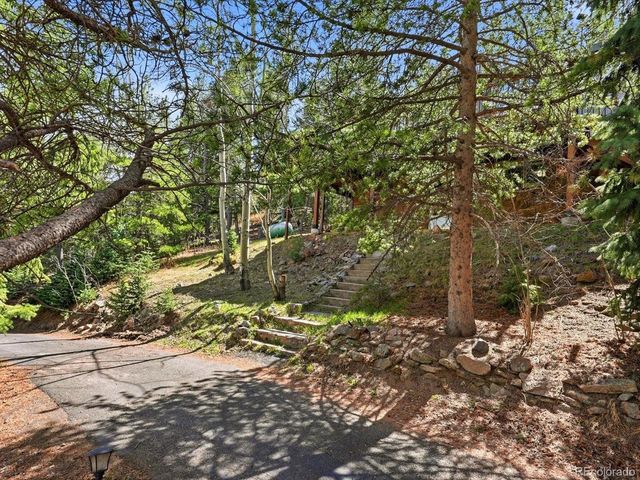 8829 Black Mountain Dr, Conifer, CO 80433