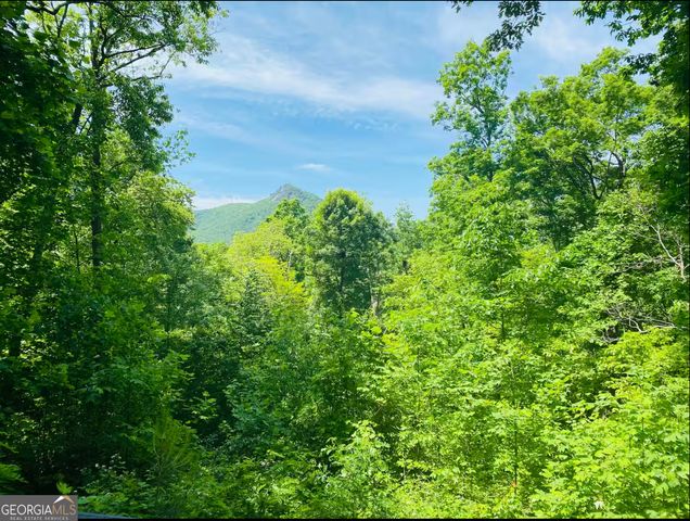 2531 Hunter Road, Hiawassee, GA 30546