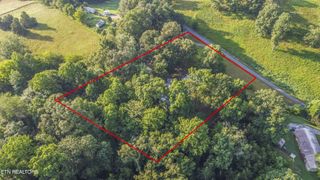 197 Wedgewood Lane, Spring City, TN 37381