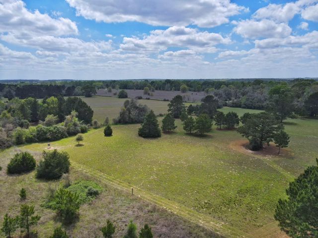 11986 Cr 112, Centerville, TX 75833