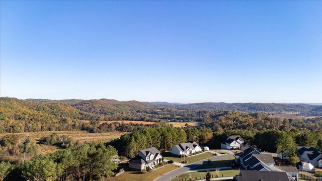 310 Banberry Drive, Mcdonald, TN 37353