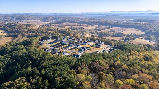 310 Banberry Drive, Mcdonald, TN 37353