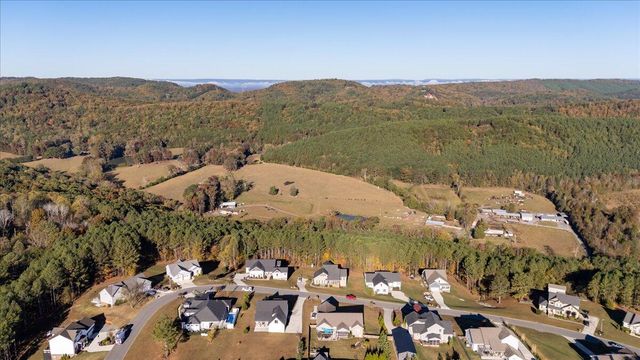 310 Banberry Drive, Mcdonald, TN 37353