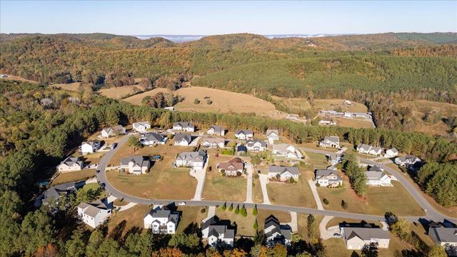 310 Banberry Drive, Mcdonald, TN 37353