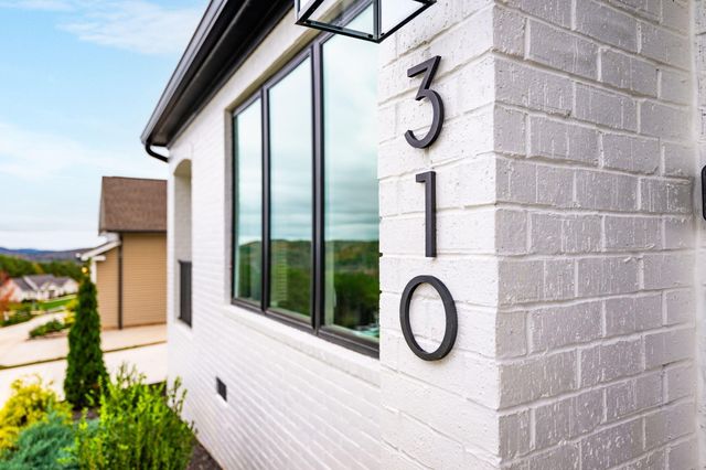 310 Banberry Drive, Mcdonald, TN 37353