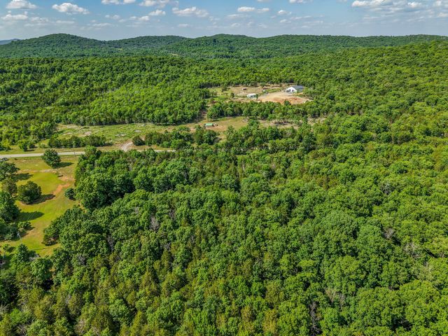 3356 Coleman Hill Rd, Rockvale, TN 37153