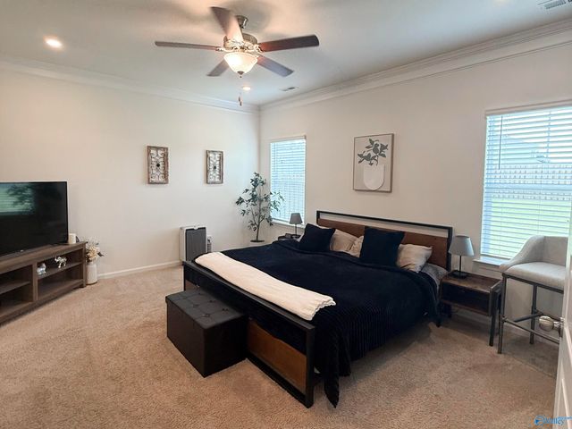 13038 Lantern Pointe Way, Harvest, AL 35749