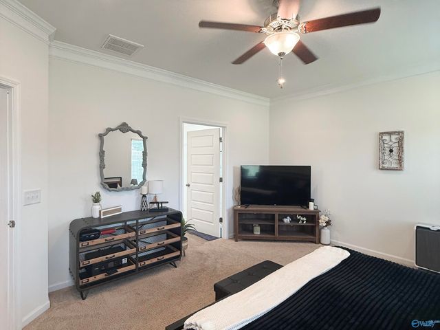 13038 Lantern Pointe Way, Harvest, AL 35749