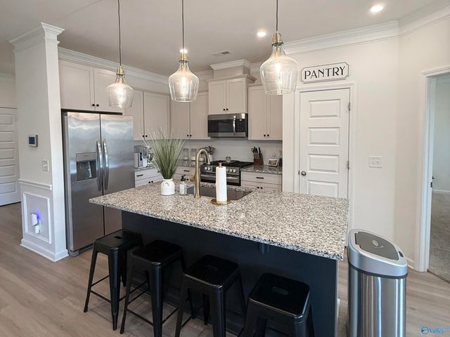 13038 Lantern Pointe Way, Harvest, AL 35749